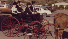 horse and buggy